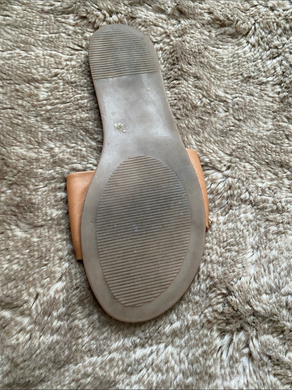 Steve Madden Brown Slide Sandals with Gold Studs - Picture 4 of 5